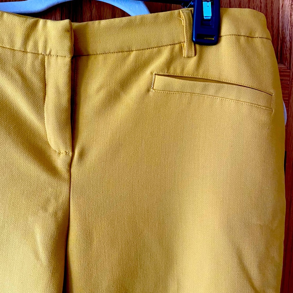 Dress Pants